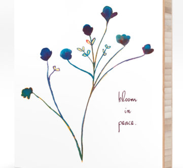 bloom in peace on bamboo