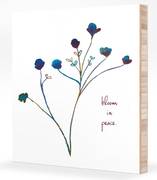 bloom in peace on bamboo