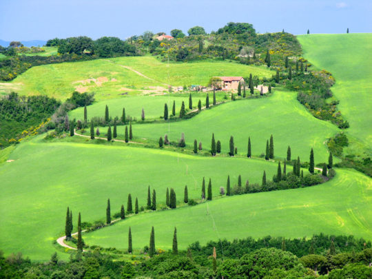 SoulPainting Italy - Sold Out