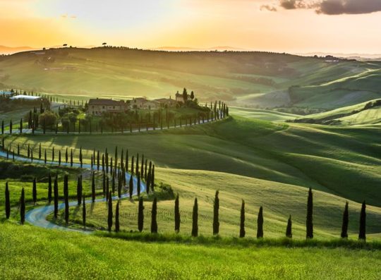 SoulPainting Italy - Sold Out