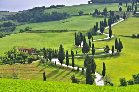 SoulPainting Italy - Sold Out