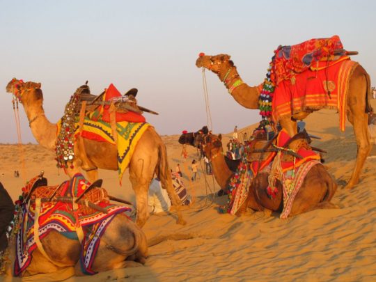 SoulPainting India - Sold Out