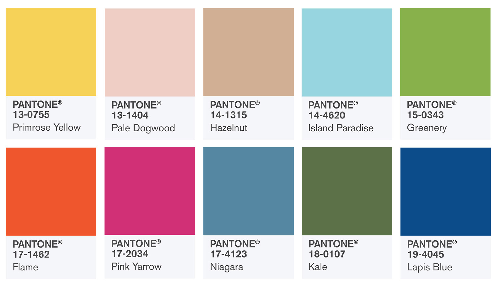 The Magnificent Color Club