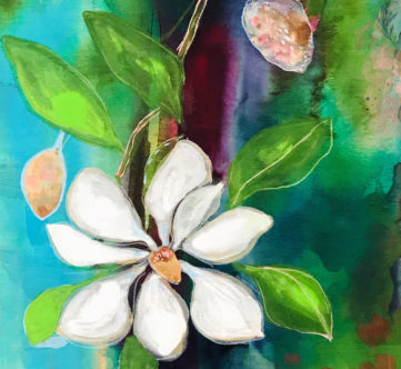 magnolia bloom