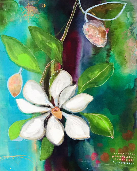 magnolia bloom