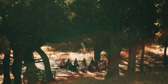 SoulPainting Certification Program