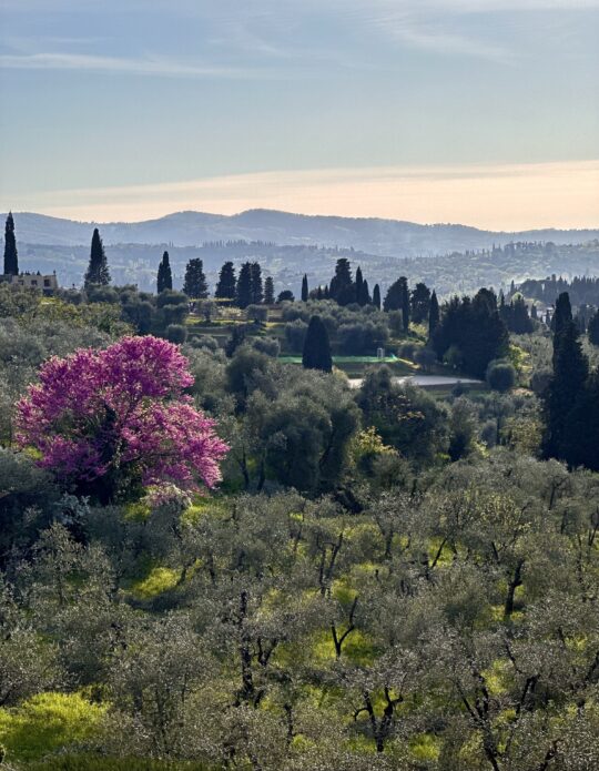 To Florence with Love (Spring 2025)  - Sold Out