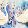 swans-dancing