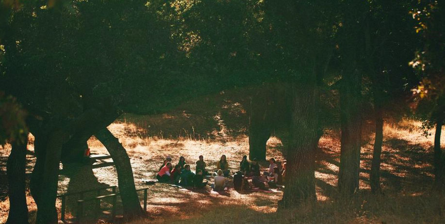 Sacred Embodiment: Abstract Painting Deep Dive