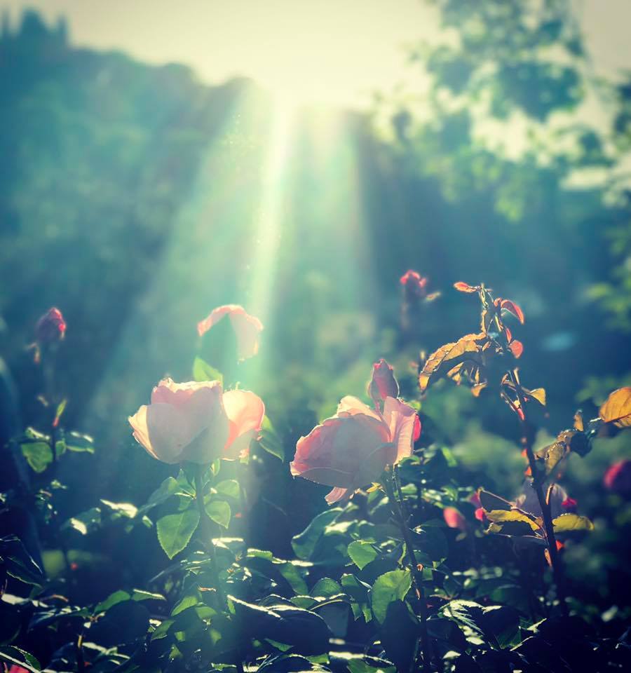 Painting the Muse - NEW